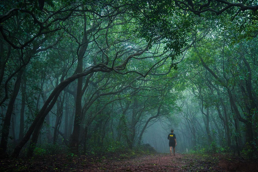The One Tree Hill Trek – The Peanuts & Monkey chase